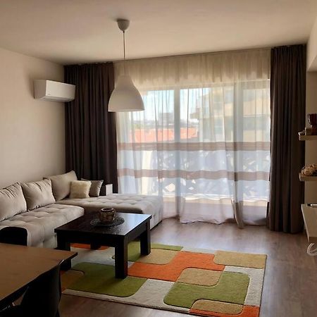Luxury Apartment パザルジク エクステリア 写真