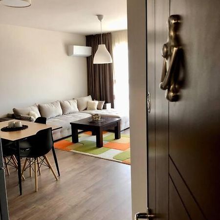 Luxury Apartment パザルジク エクステリア 写真