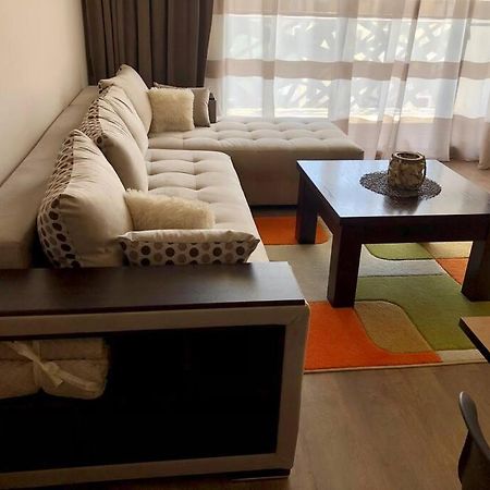 Luxury Apartment パザルジク エクステリア 写真
