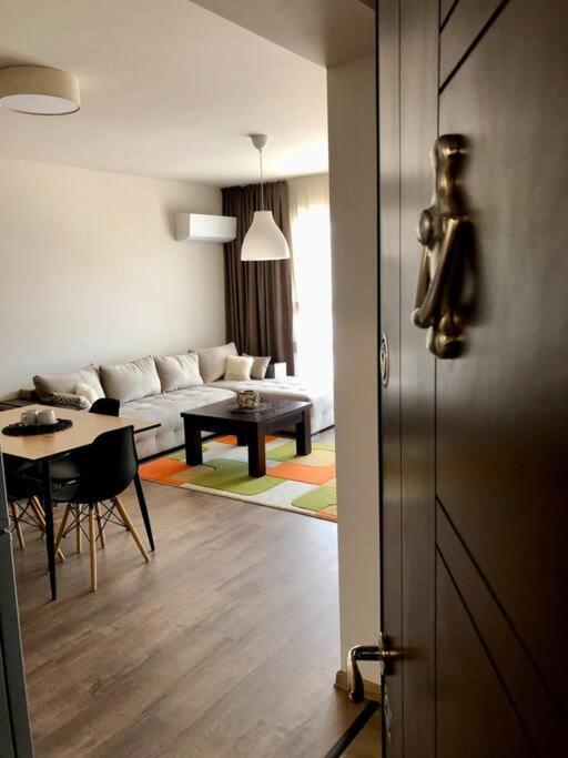 Luxury Apartment パザルジク エクステリア 写真