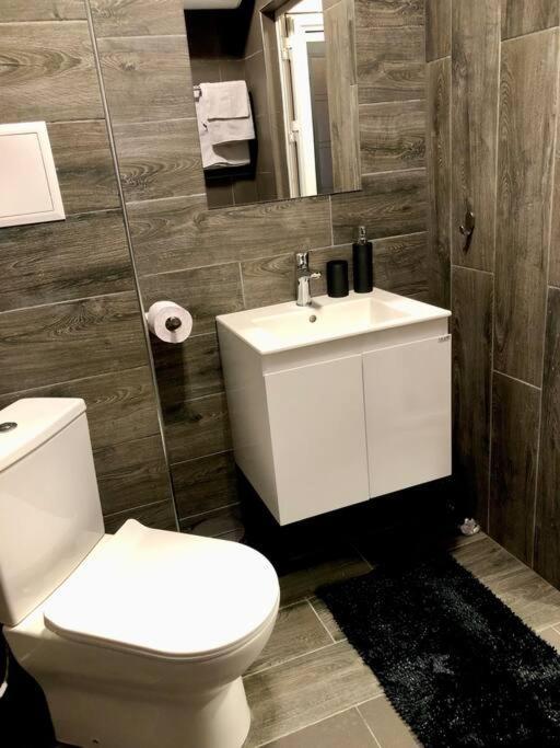 Luxury Apartment パザルジク エクステリア 写真