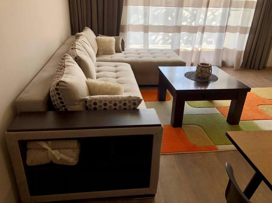 Luxury Apartment パザルジク エクステリア 写真