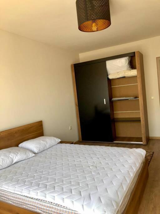 Luxury Apartment パザルジク エクステリア 写真